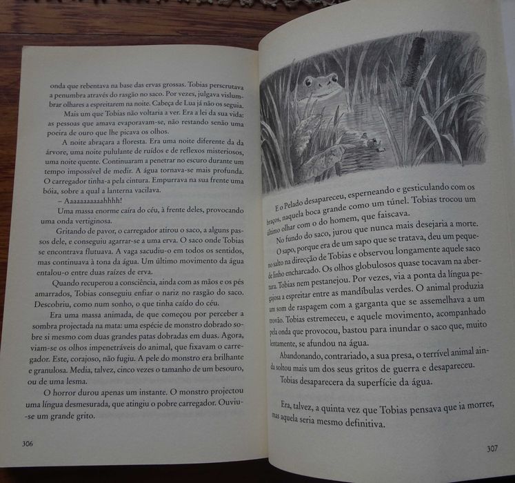 Tobias Lolness (A Vida em Suspenso) de Timothée de Fombelle