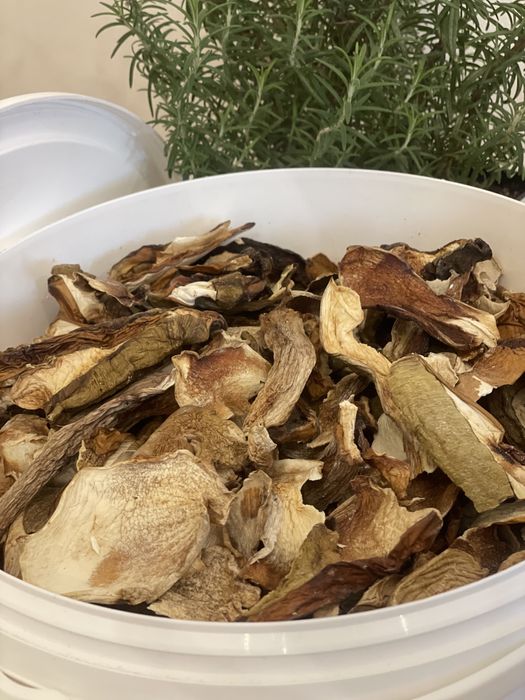 Високогірні білі сушені гриби