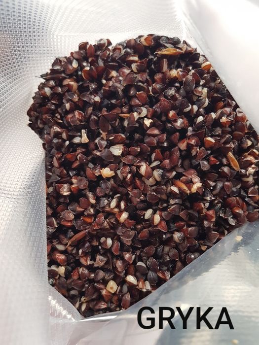 GRYKA gotowana gotowa Zanęta na ryby