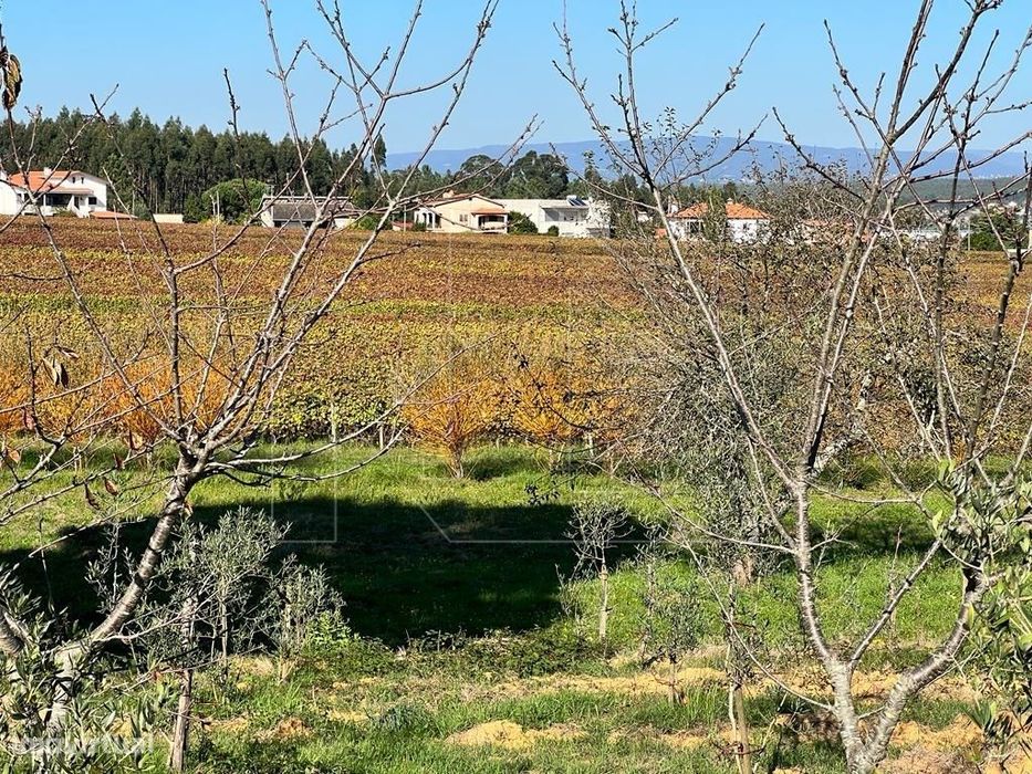 Lote para Moradia - Vale das Figueiras