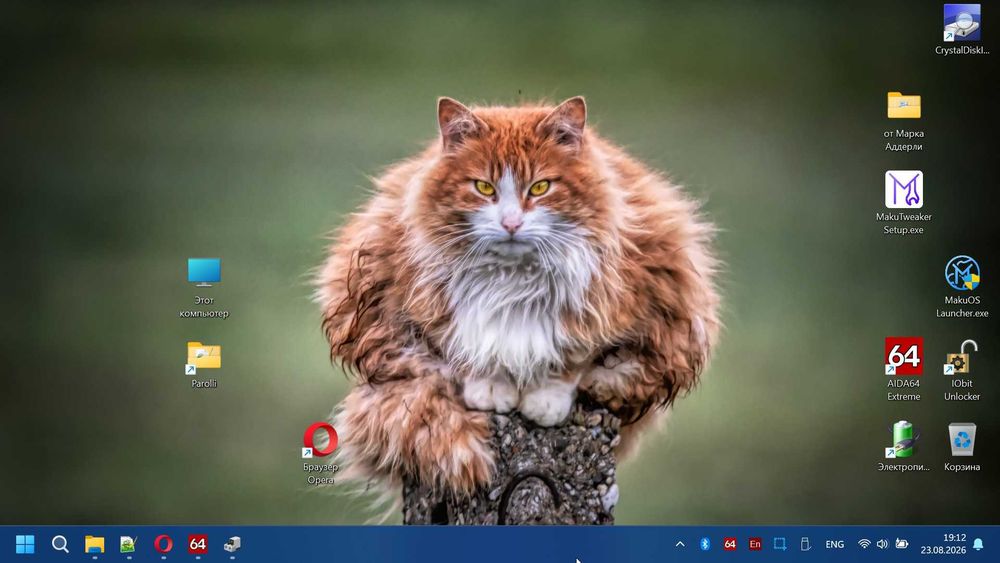 Матрица IPS 14” FHD 1920x1080px. с Dell E5470/30pin/BOE