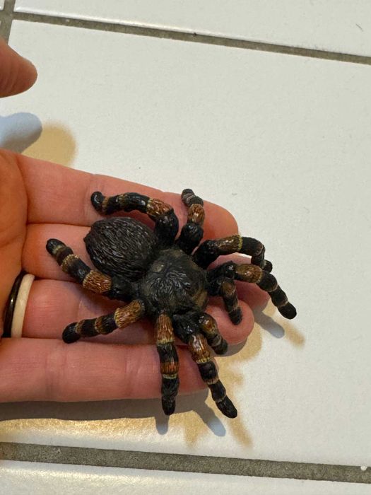 Павук Тарантул Schleich 14829