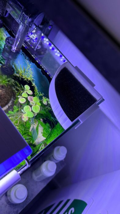 Aquário 40L plantado, material premium + acessórios (2 Neritinas)