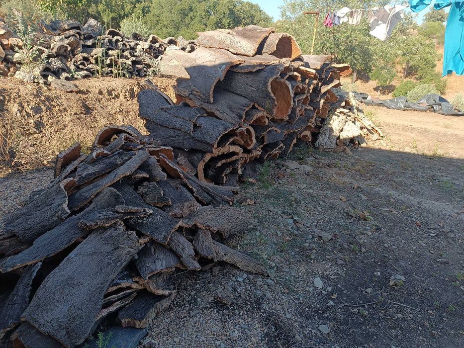 vendo cortiça de 2025