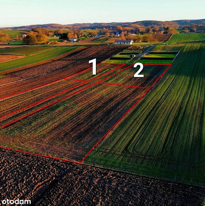 Działki budowlane w Będzienicy – 11,60 a i 15,36 a