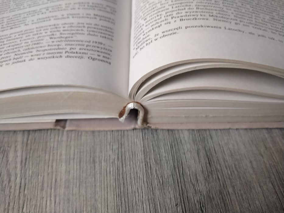 Jerzy Ślaski Polska Walcząca