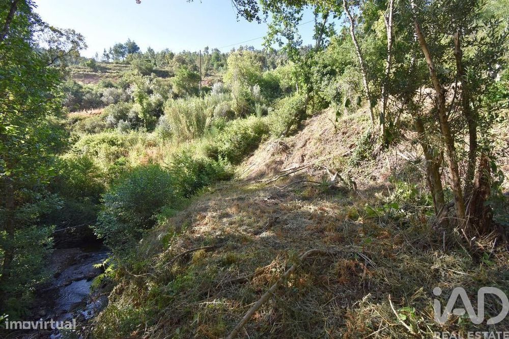 Agricultural Land in Espinhal