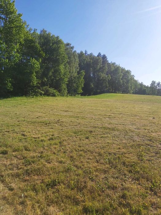 Działka na sprzedaż Jeleń