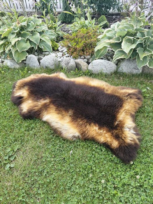 Skóra Owcza Podpalana Naturalna UNIKAT