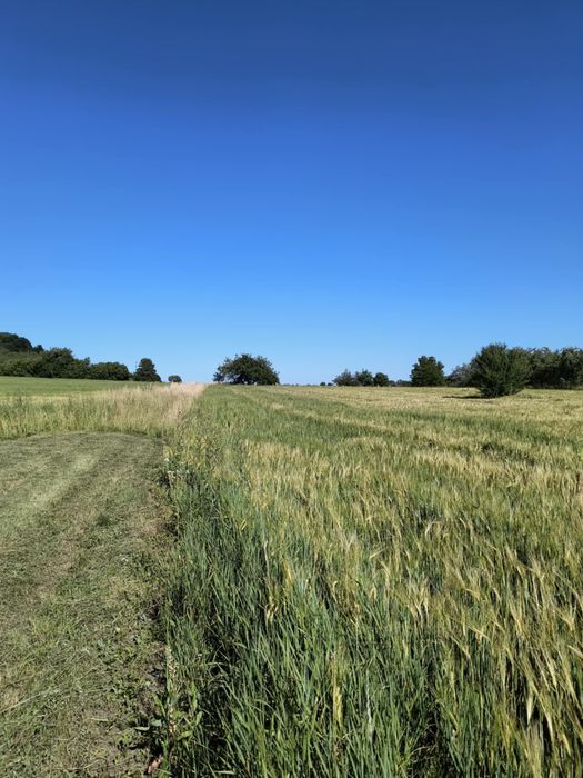 Продається земельна ділянка під забудову