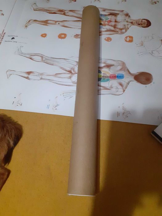 Poster para terapeutas - Shiatsu e Makko-ho