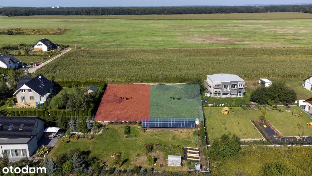 Działka, Gałów - Widok 2