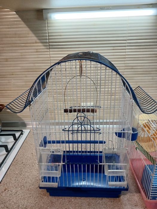 Клетки. Клетки..