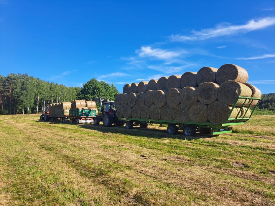 Siano 120x120 ładne zielone