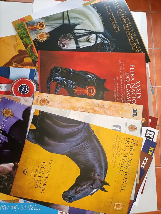 Feira de São Martinho-vários Posters + Pasta com 34 posters diferentes