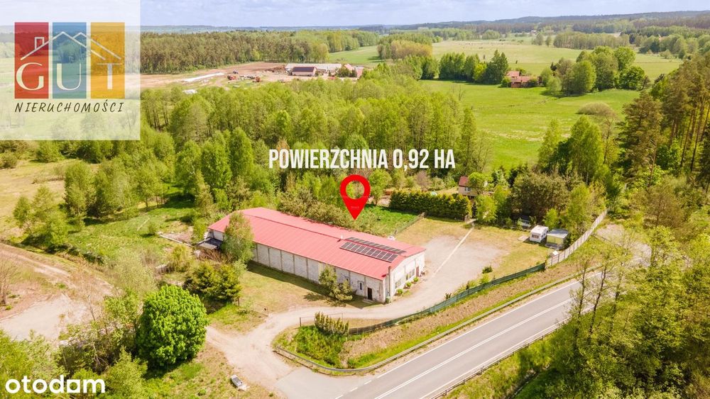 Lokal handlowo - usługowy, Hala magazynowa Stękiny, działka 0,98 ha pr