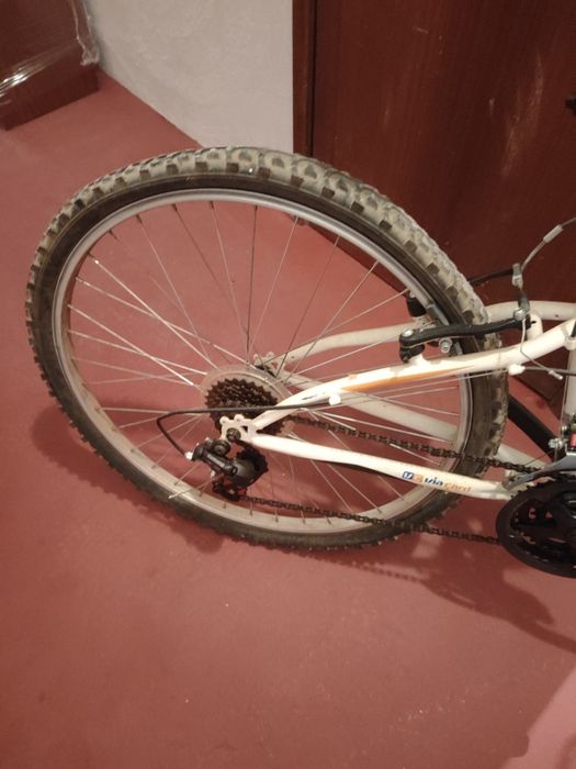 Bicicleta de adulto