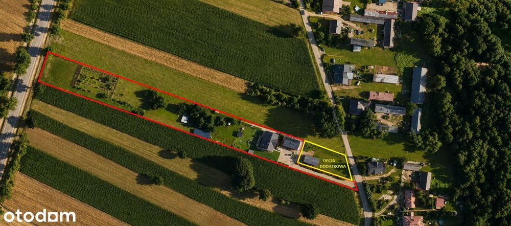 Komfortowy dom z 7069 m² działki i budynkiem gosp. | 8 km od Ostrołęki