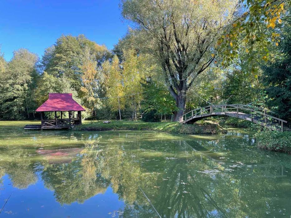 Будинок, 150сот. власне озеро с.Здорівка Васильківський  Київська обл.