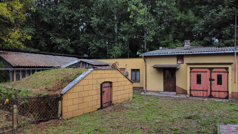 Dom 110m2 wraz z działką 49ar