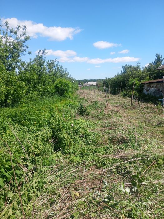 Будинок на продаж