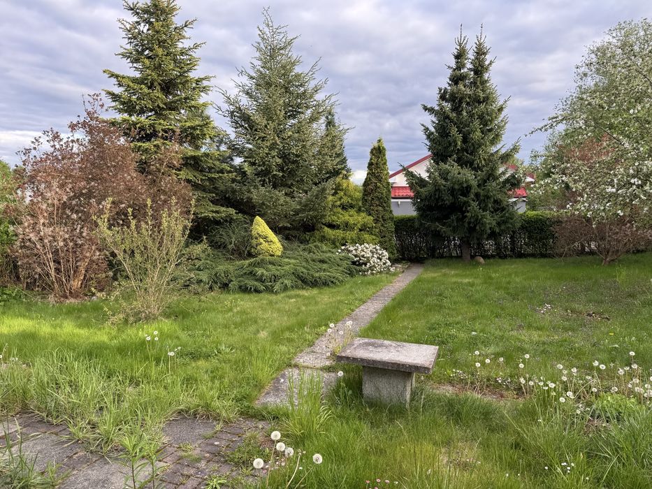 Działka ROD narożna z wlasnym wjazdem i parkingiem 600 m² - Widok 5