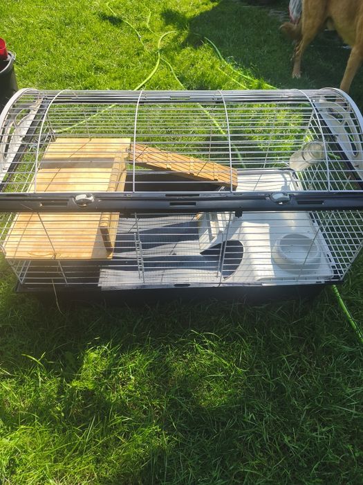 Duża klatka dla gryzonia świnki morskiej 95x55