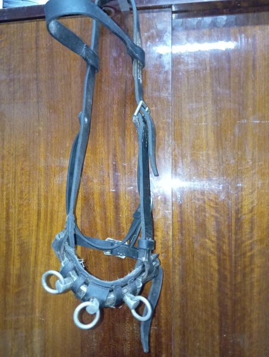 Vendo Serrilhão (equitação)