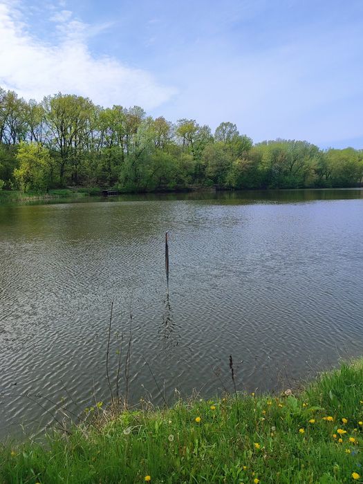 Продам будинок в селі Поправка