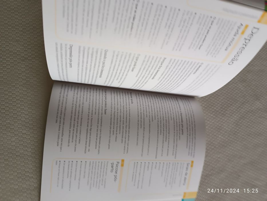 Livro "Pais pela primeira vez"