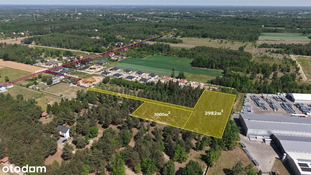 Działka leśna 3000 m² – Sochaczew, Wypalenisko
