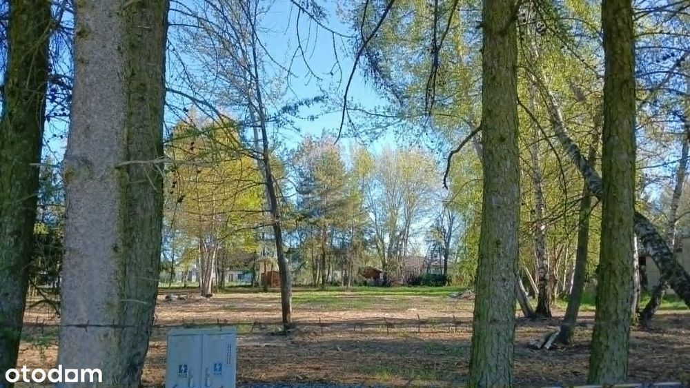 Działka budowlana lub dwie. 1656 m2 oraz 1655 m2.Szczepankowo,Jeżynowa