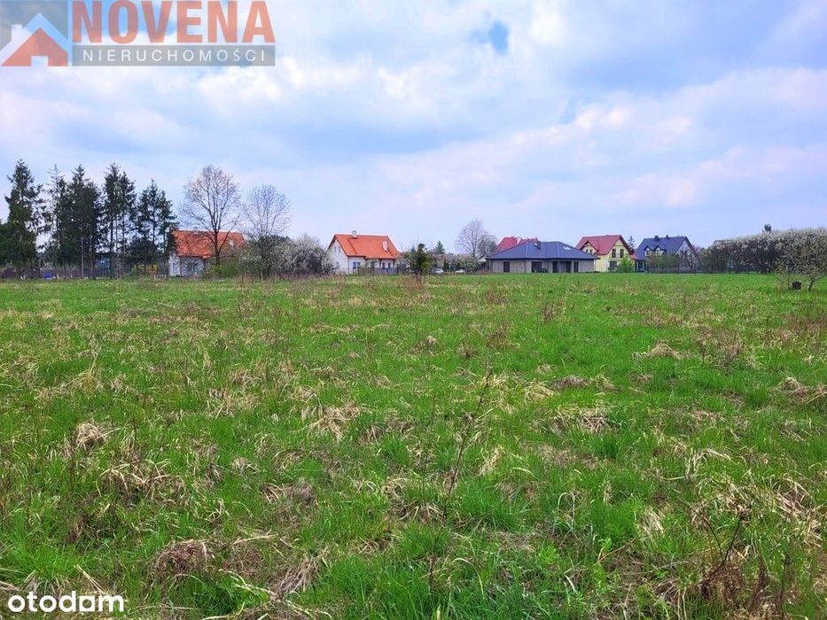 Działki w samej Czernicy.