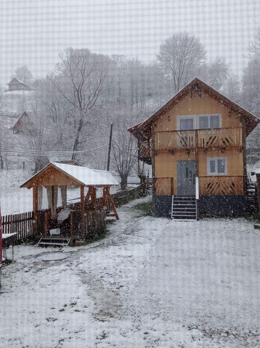 Котедж для затишного відпочинку в серці природи!