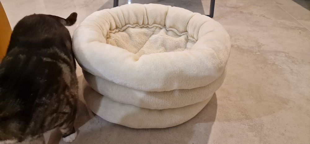 Legowiska ścienne dla kotów - 3 szt.