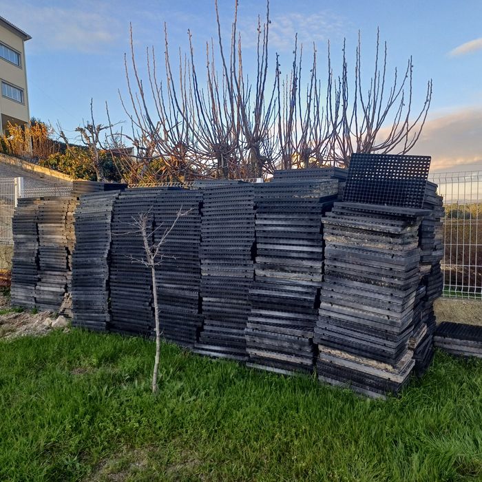 Tabuleiro para semear