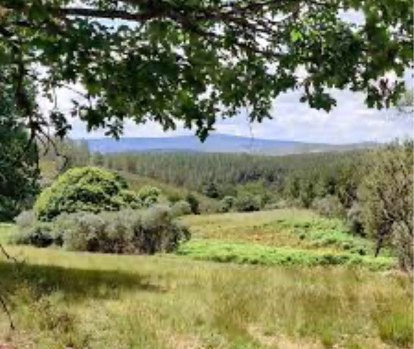 Casa Rustica a venda em pleno Parque de Montesinho - Bragança
