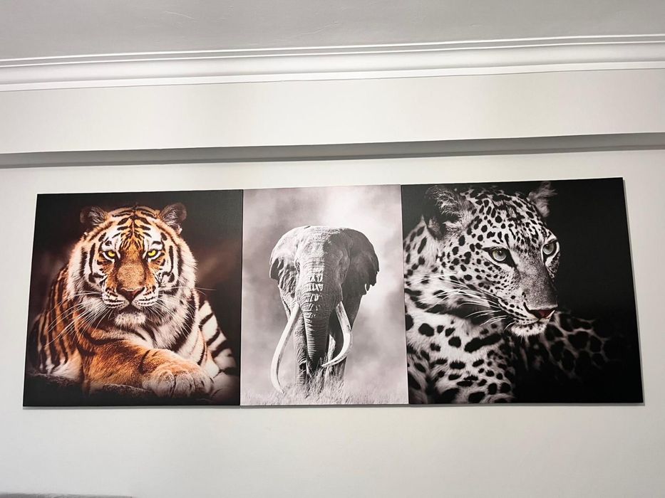 3 Telas decorativas (quadros)