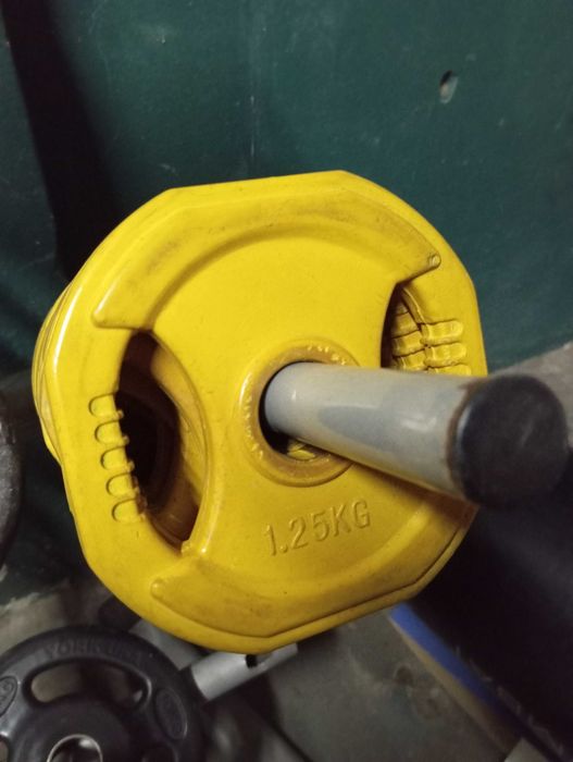 Gym Discs436768595405056000