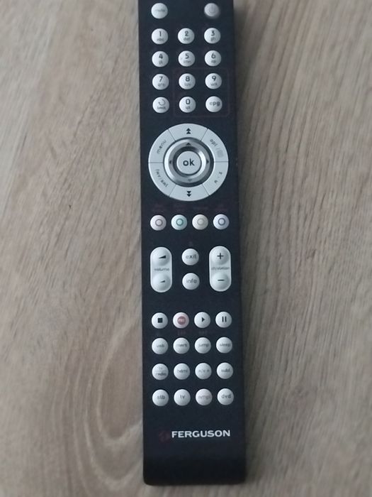 Ferguson Digital Multimedia Technologu pilot do tv