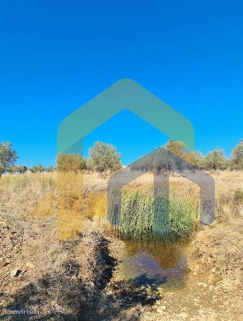 Quintinha  Venda em Santo Aleixo,Monforte