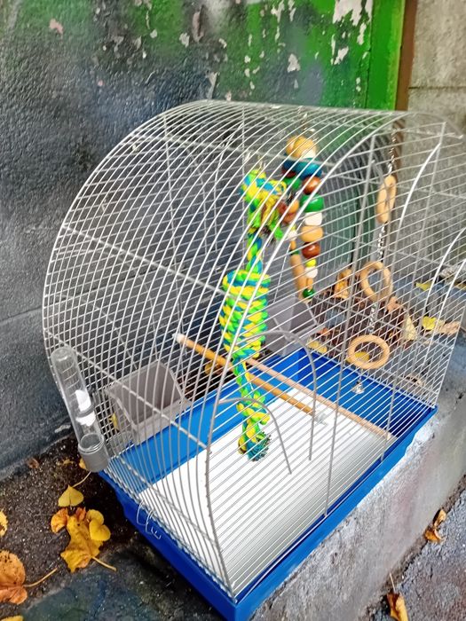 Sprzedam klatkę dla papugi lub innych ptaków używaną