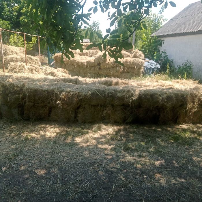 Сено луговое в тюках