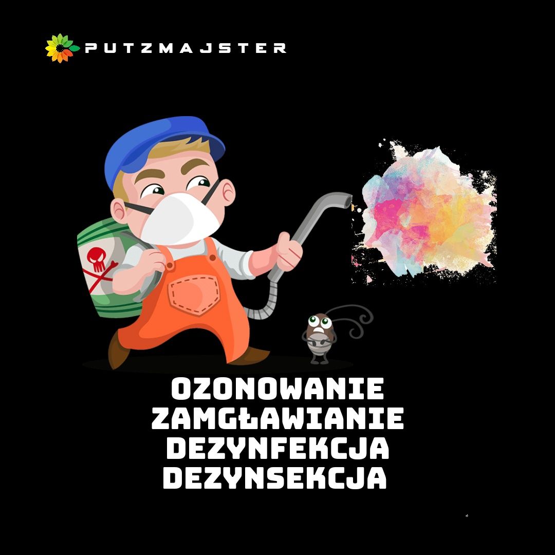 pranie-tapicerki-kanapy-foteli-dywan-w-odpluskwianie-ozonowanie