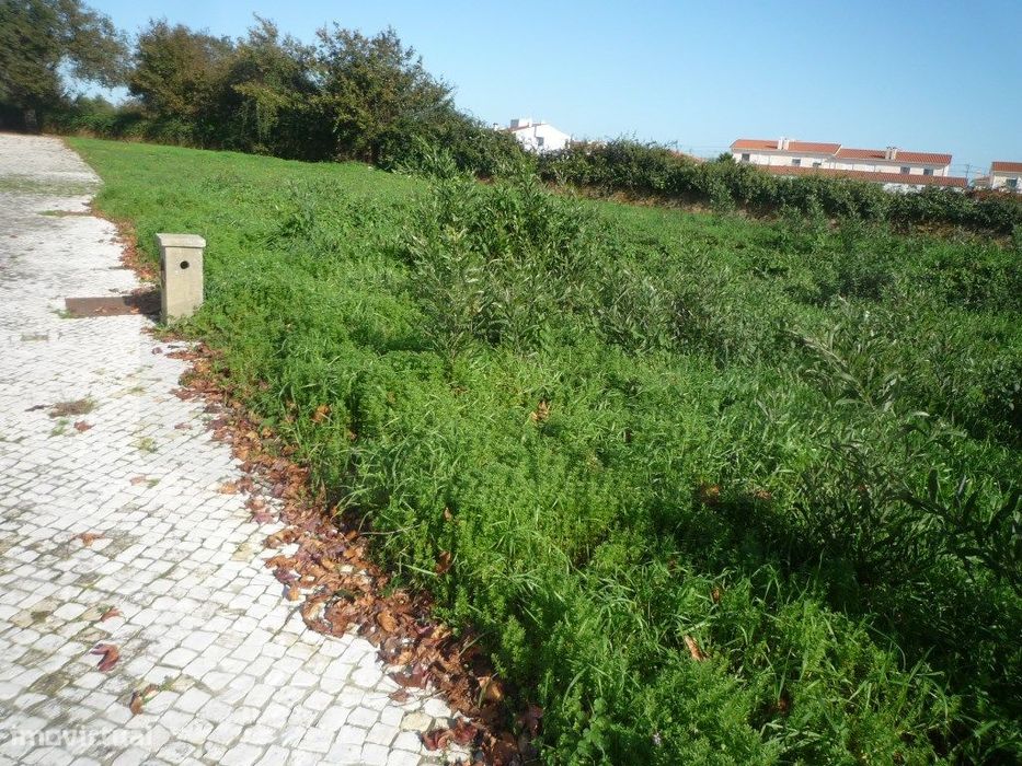 Lote de Terreno em Albergaria-a-Velha