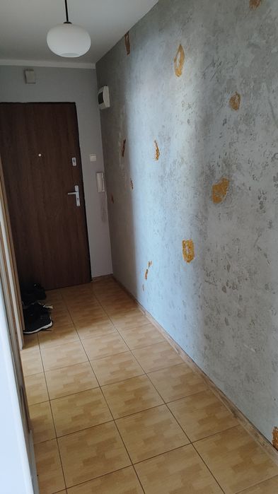 Zdjęcie 6