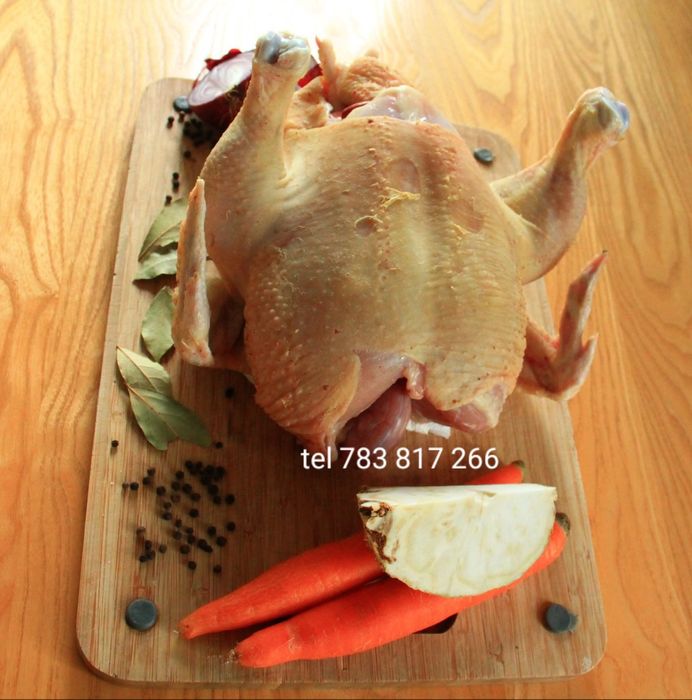 Tusza z kurczaka wiejskiego