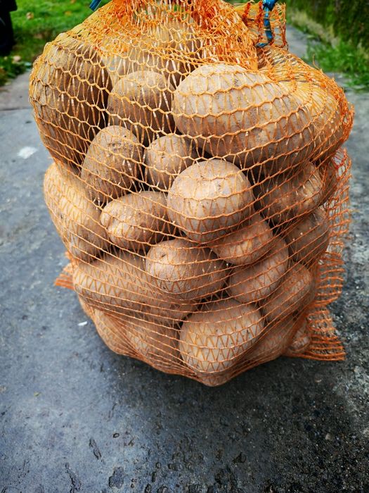 Ziemniaki  jadalne Denar