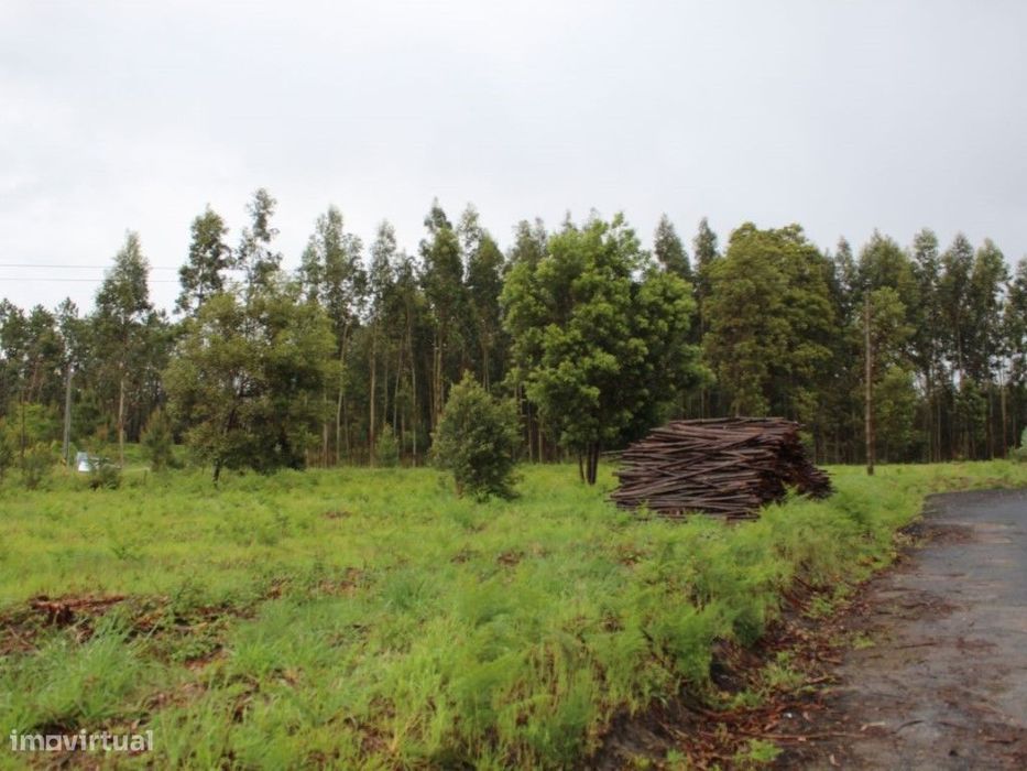 Terreno para construção — Marinha Grande, Leiria