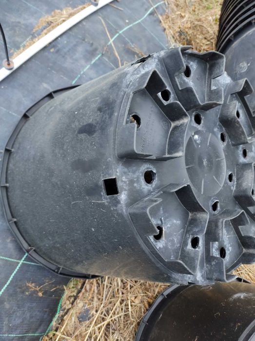 Vasos de 38 L para mirtilos